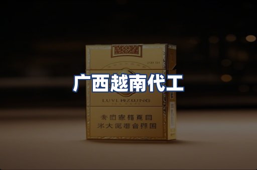 广西越南代工